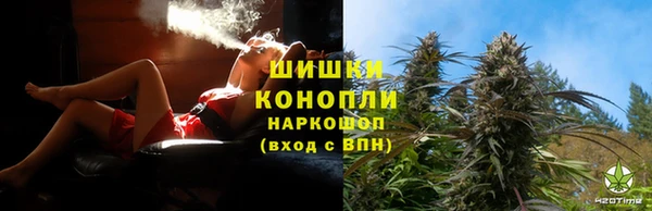 кокс Белокуриха