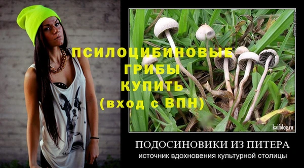 кокс Белокуриха