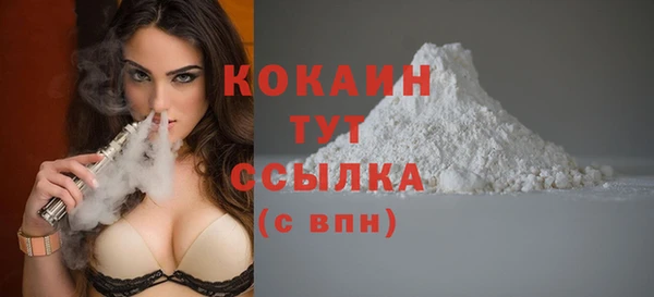 кокс Белокуриха