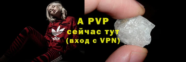 кокс Белокуриха