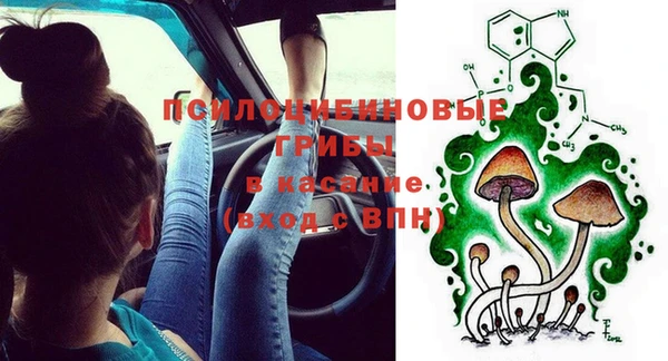 гашик Беломорск