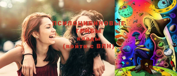гашик Беломорск