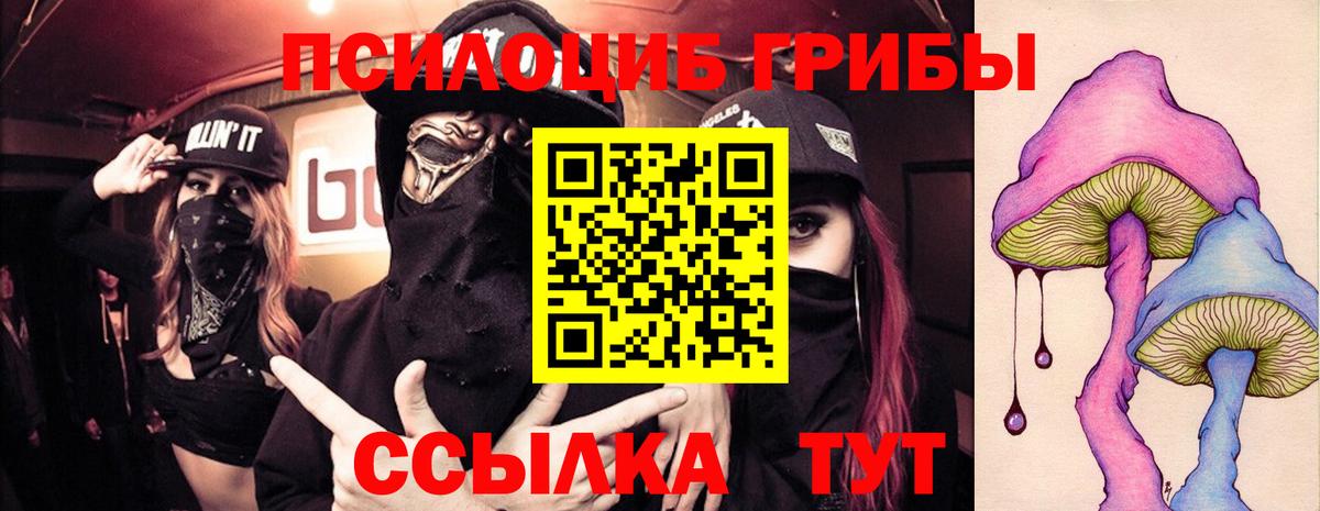 Псилоцибиновые грибы Psilocybe Реж